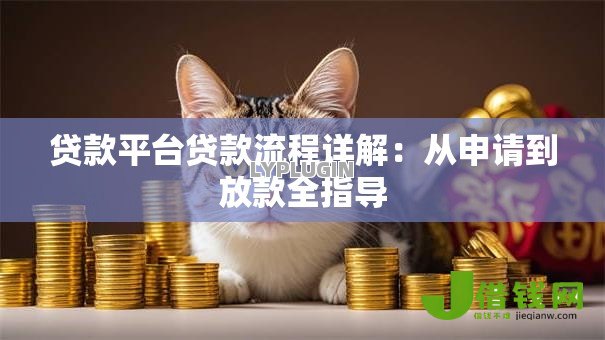 贷款平台贷款流程详解：从申请到放款全指导