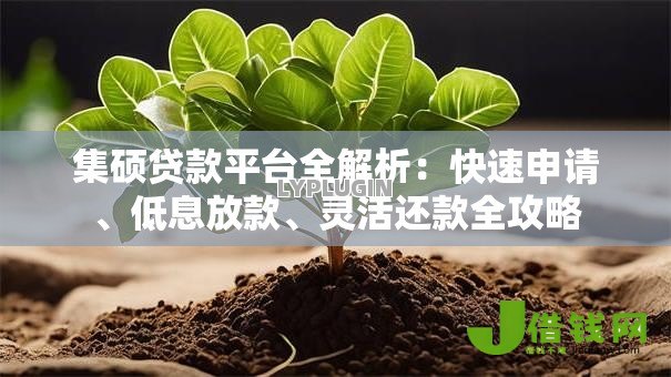 集硕贷款平台全解析:快速申请、低息放款、灵活还款全攻略 集硕贷款平台全解析:快速申请、低息放款、灵活还款全攻略