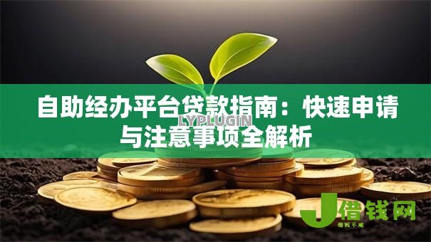 自助经办平台贷款指南：快速申请与注意事项全解析