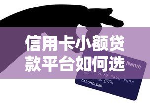 信用卡小额贷款平台如何选？这5个平台通过率高