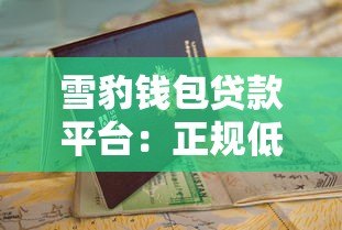 雪豹钱包贷款平台：正规低息贷款快速申请指南