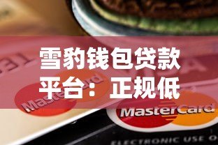 雪豹钱包贷款平台：正规低息贷款快速申请指南