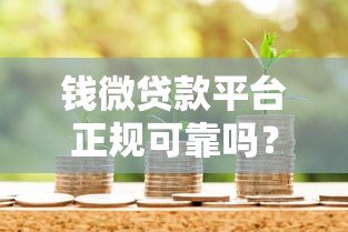 钱微贷款平台正规可靠吗?2023最新申请攻略解析 钱微贷款平台正规可靠吗?2023最新申请攻略解析