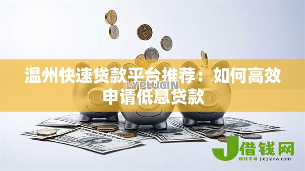 温州快速贷款平台推荐：如何高效申请低息贷款