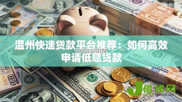 温州快速贷款平台推荐：如何高效申请低息贷款