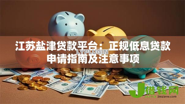 江苏盐津贷款平台：正规低息贷款申请指南及注意事项