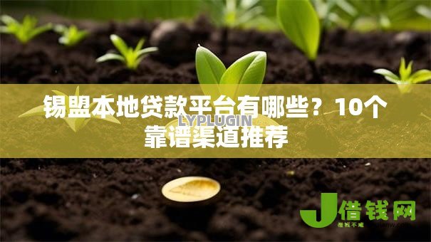 锡盟本地贷款平台有哪些?10个靠谱渠道推荐 锡盟本地贷款平台有哪些?10个靠谱渠道推荐