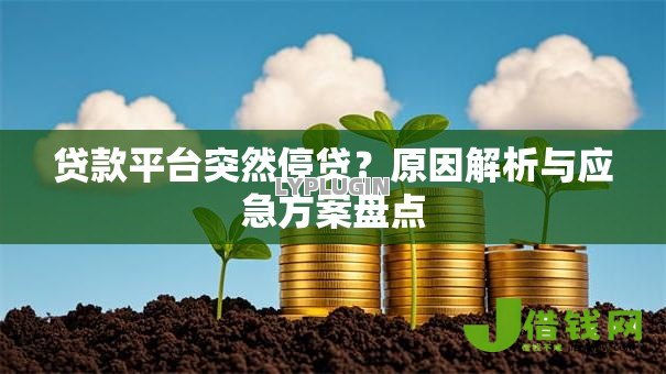 贷款平台突然停贷？原因解析与应急方案盘点