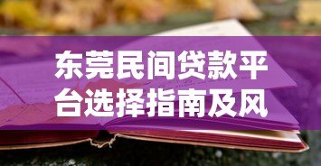 东莞民间贷款平台选择指南及风险防范技巧