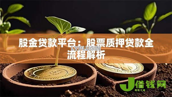 股金贷款平台:股票质押贷款全流程解析 股金贷款平台:股票质押贷款全流程解析
