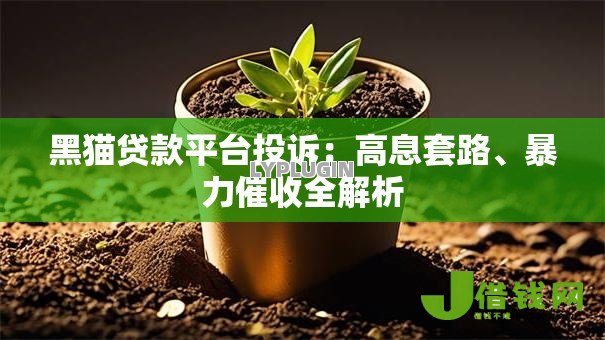 黑猫贷款平台投诉：高息套路、暴力催收全解析
