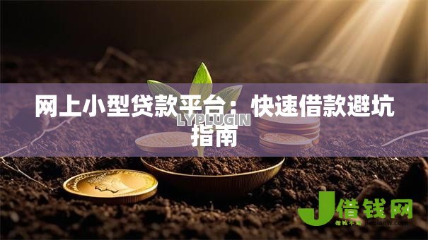网上小型贷款平台：快速借款避坑指南