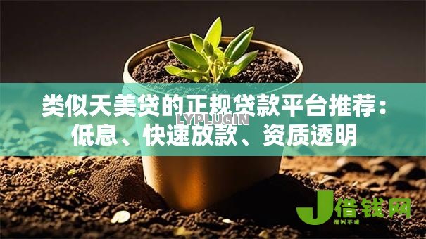 类似天美贷的正规贷款平台推荐：低息、快速放款、资质透明