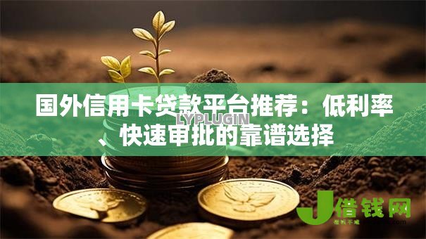 国外信用卡贷款平台推荐：低利率、快速审批的靠谱选择