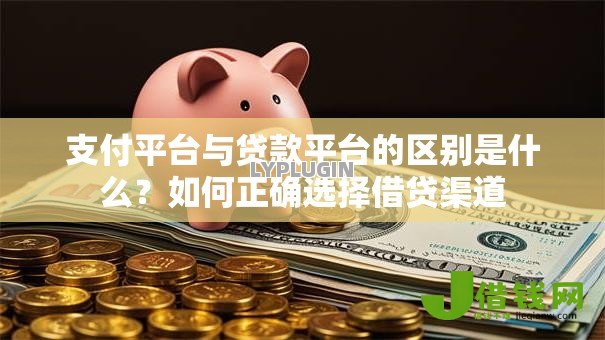 支付平台与贷款平台的区别是什么？如何正确选择借贷渠道
