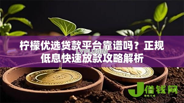 柠檬优选贷款平台靠谱吗？正规低息快速放款攻略解析