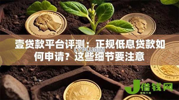 壹贷款平台评测：正规低息贷款如何申请？这些细节要注意