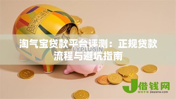 淘气宝贷款平台评测：正规贷款流程与避坑指南