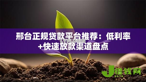 邢台正规贷款平台推荐：低利率+快速放款渠道盘点