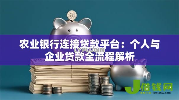 农业银行连接贷款平台：个人与企业贷款全流程解析