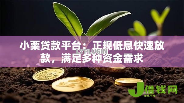 小粟贷款平台：正规低息快速放款，满足多种资金需求