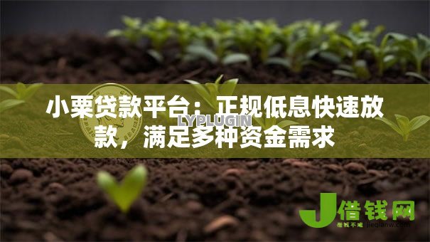 小粟贷款平台：正规低息快速放款，满足多种资金需求