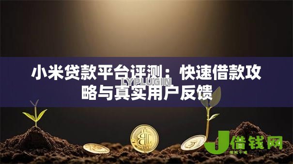小米贷款平台评测：快速借款攻略与真实用户反馈