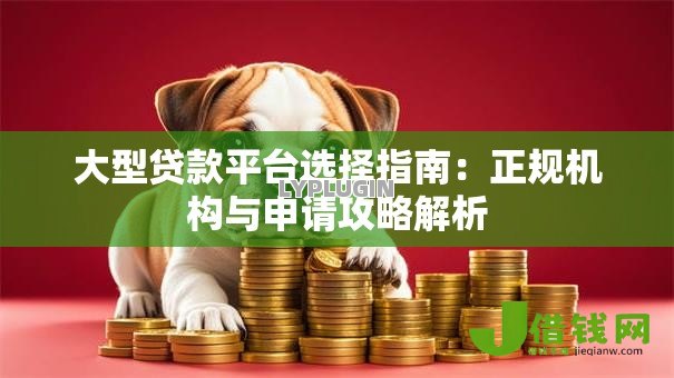 大型贷款平台选择指南:正规机构与申请攻略解析 大型贷款平台选择指南:正规机构与申请攻略解析
