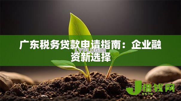 广东税务贷款申请指南:企业融资新选择 广东税务贷款申请指南:企业融资新选择
