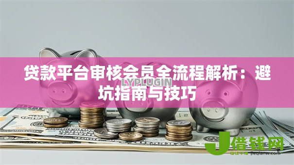 贷款平台审核会员全流程解析：避坑指南与技巧