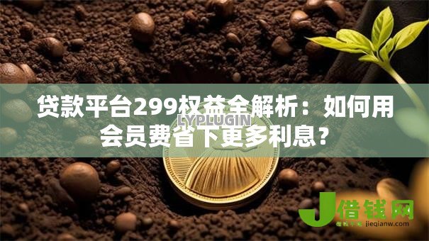 贷款平台299权益全解析：如何用会员费省下更多利息？
