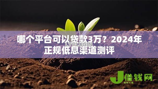 哪个平台可以贷款3万？2024年正规低息渠道测评