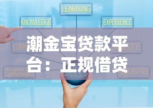 潮金宝贷款平台：正规借贷方案与灵活服务解析
