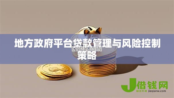 地方政府平台贷款管理与风险控制策略 地方政府平台贷款管理与风险控制策略