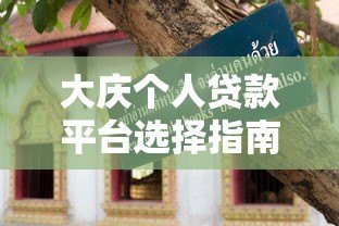 大庆个人贷款平台选择指南：正规渠道与避坑技巧