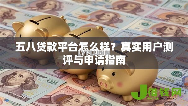 五八贷款平台怎么样？真实用户测评与申请指南