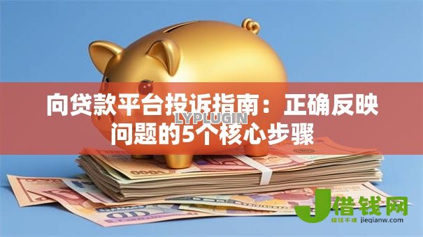 向贷款平台投诉指南：正确反映问题的5个核心步骤