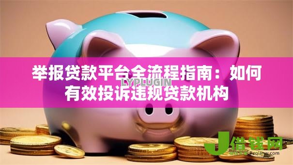 举报贷款平台全流程指南：如何有效投诉违规贷款机构