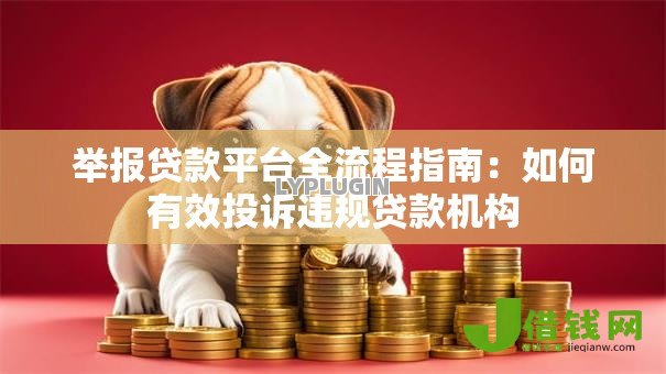 举报贷款平台全流程指南：如何有效投诉违规贷款机构