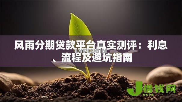 风雨分期贷款平台真实测评:利息、流程及避坑指南 风雨分期贷款平台真实测评:利息、流程及避坑指南