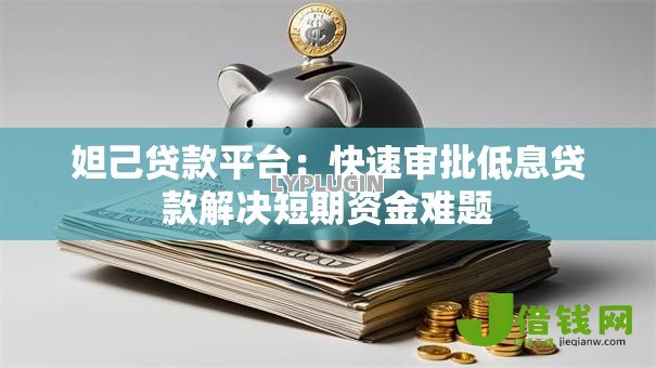 妲己贷款平台:快速审批低息贷款解决短期资金难题 妲己贷款平台:快速审批低息贷款解决短期资金难题