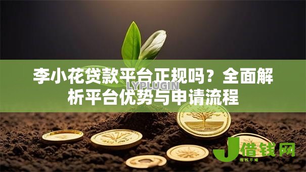 李小花贷款平台正规吗？全面解析平台优势与申请流程
