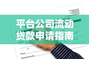 平台公司流动贷款申请指南与风险解析