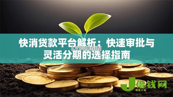 快消贷款平台解析:快速审批与灵活分期的选择指南 快消贷款平台解析:快速审批与灵活分期的选择指南