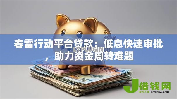 春雷行动平台贷款：低息快速审批，助力资金周转难题