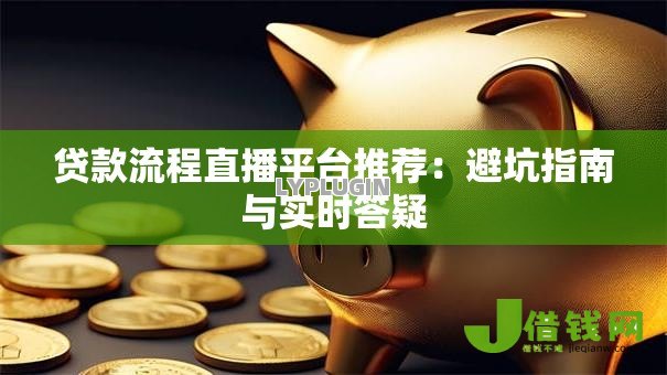 贷款流程直播平台推荐：避坑指南与实时答疑