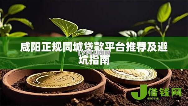 咸阳正规同城贷款平台推荐及避坑指南