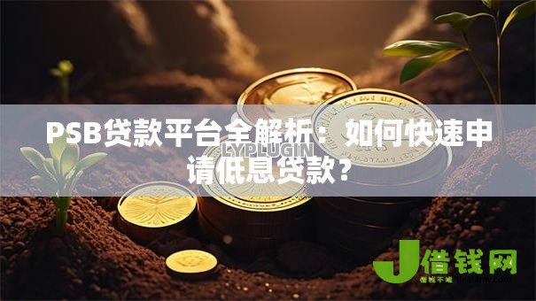 PSB贷款平台全解析：如何快速申请低息贷款？