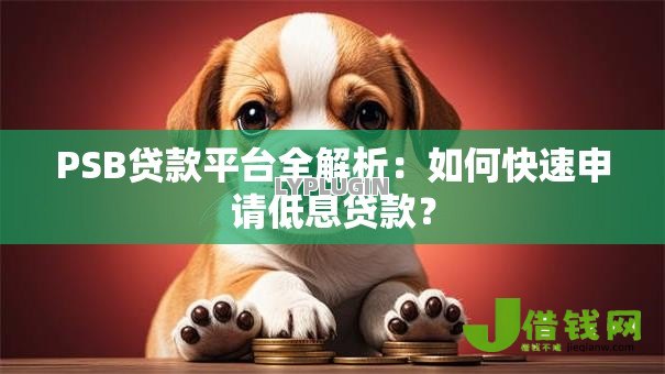 PSB贷款平台全解析：如何快速申请低息贷款？