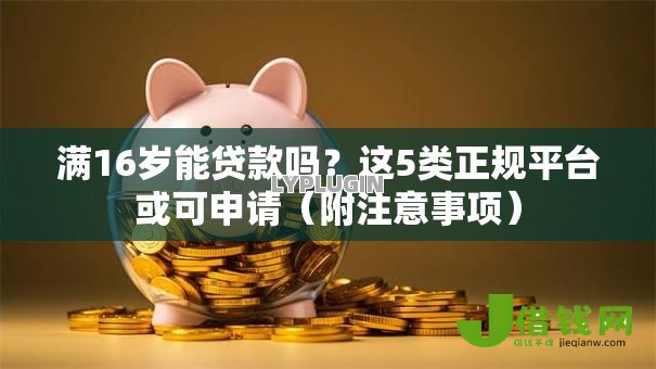 满16岁能贷款吗?这5类正规平台或可申请(附注意事项) 满16岁能贷款吗?这5类正规平台或可申请(附注意事项)